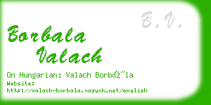 borbala valach business card